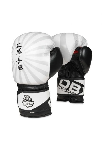 Boxing gloves &quot;Japan&quot; in leather training sparring Bushido 10oz