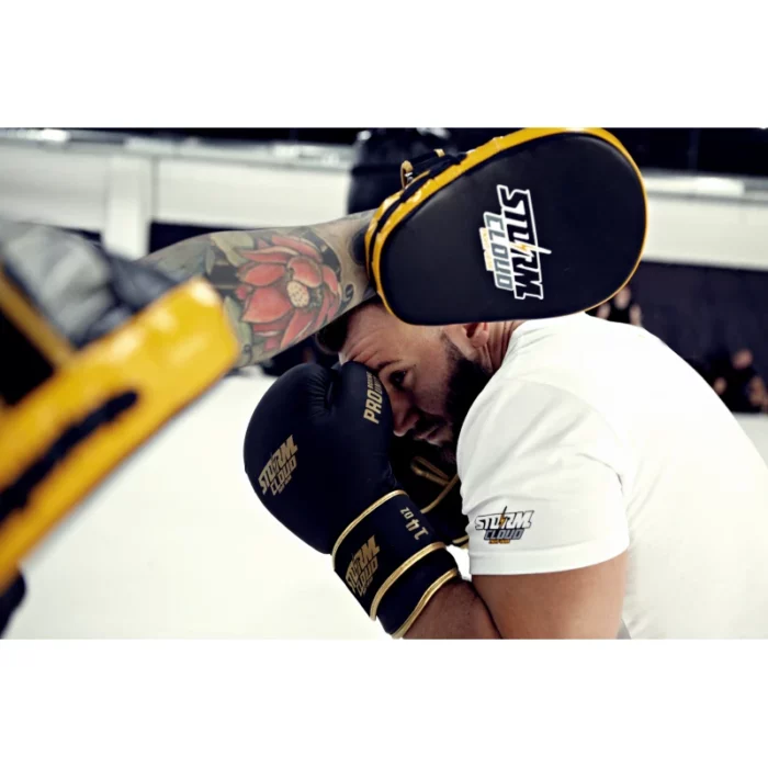 StormCloud Boxing Pads Rapid under trening