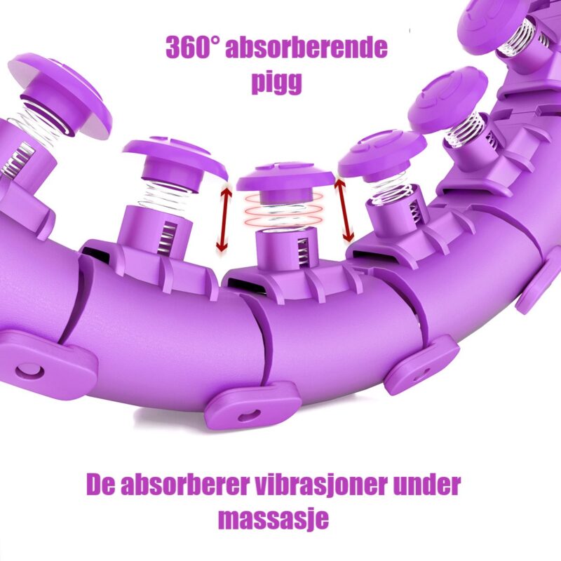 absorberende pigg