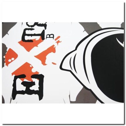 bilde 2 - CR3108SA BLISTER SKATEBOARD NILS EXTREME