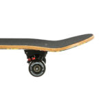 bilde 5 - CR3108SA COLOR Worms 2 SKATEBOARD NILS EXTREME