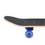 bilde 7 - CR3108SB GRAVITY SKATEBOARD NILS EXTREME