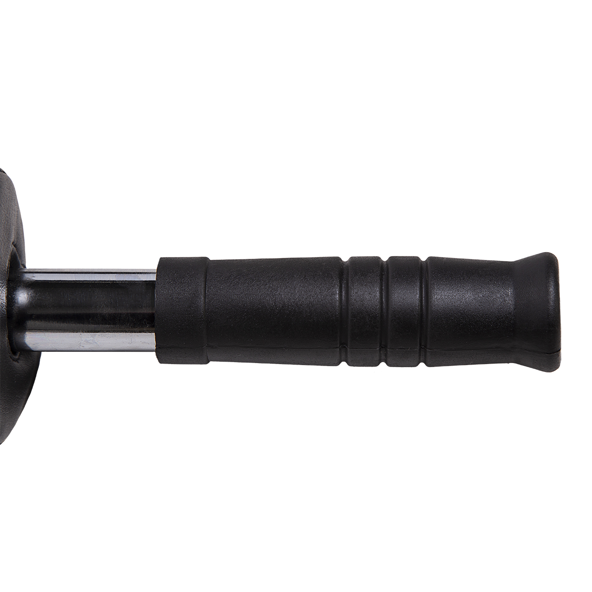 bilde 6 - GOL320 CURL OLYMPIC BAR 220 cm