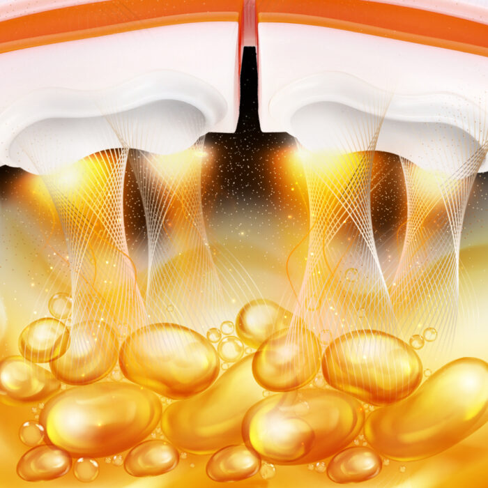 bilde 6 - HULA HOOP MAGNETIC WHITE/Orange HHM21 med Vekt + COUNTER HMS + Slimring BALT BR1313