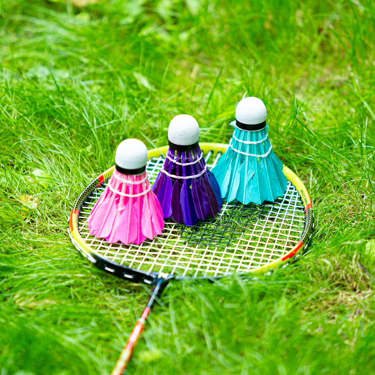 bilde 8 - NBL6213 FEathers SHUTTLECOCKS MULTICOLOR 3 PCS. NILS