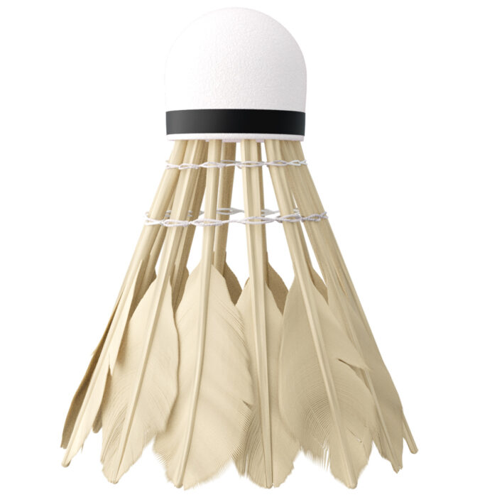 bilde 5 - NBL6216 FEathers SHUTTLECOCKS MULTICOLOR 6 PCS. NILS