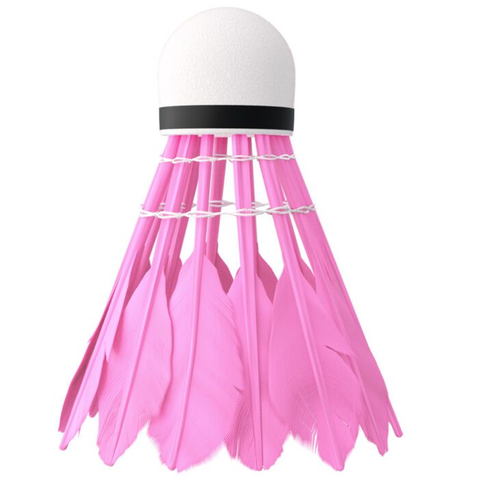 bilde 7 - NBL6216 FEathers SHUTTLECOCKS MULTICOLOR 6 PCS. NILS