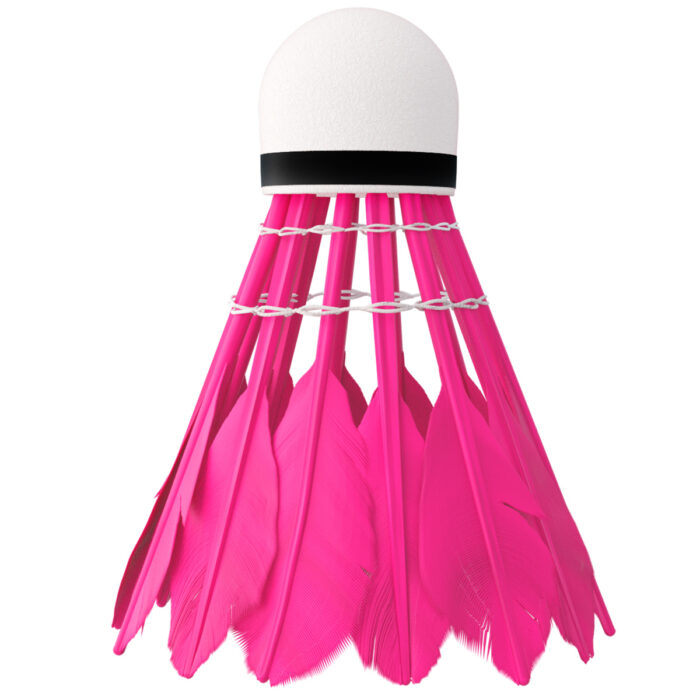 bilde 10 - NBL6216 FEathers SHUTTLECOCKS MULTICOLOR 6 PCS. NILS