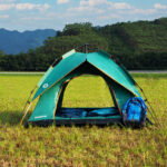 bilde 7 - NC7819 GREEN ENT SHADOW NILS CAMP