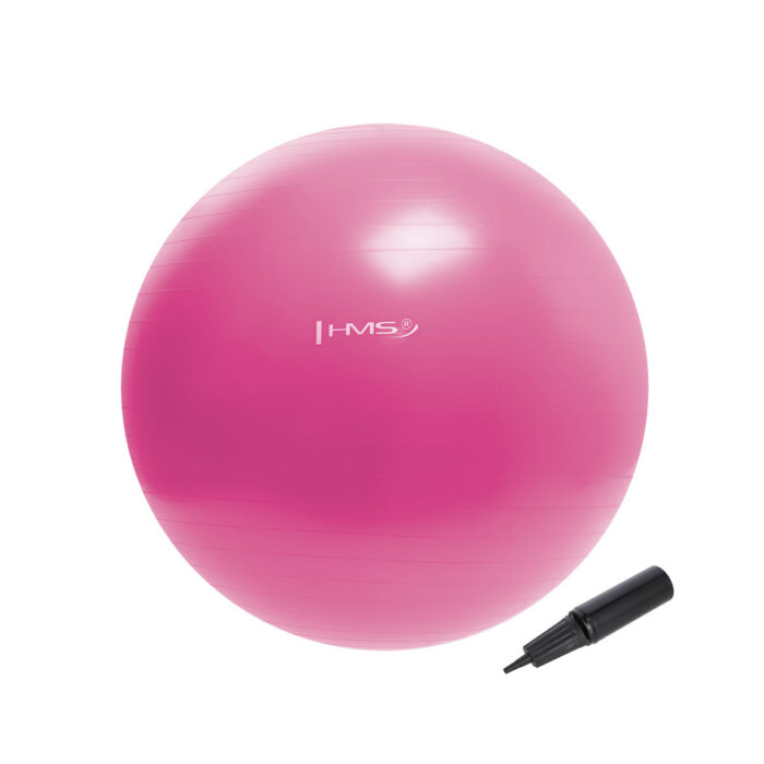 bilde 2 - YB01N 55CM PINK Gym Ball HMS