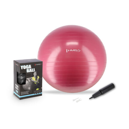 bilde 1 - YB01 NEW 65CM PLUM GYM BALL HMS