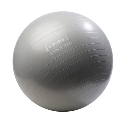 bilde 1 - YB02N 55CM GRAPHITTE GYM BALL HMS
