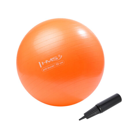 bilde 1 - YB02N 55CM Orange GYM BALL HMS