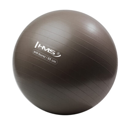 bilde 1 - YB02N 65CM GRIZZLY GYM BALL HMS