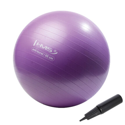 bilde 1 - YB02N 65CM PURPLE GYM BALL HMS