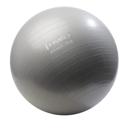bilde 2 - YB02N 75CM GRAY GYM BALL HMS