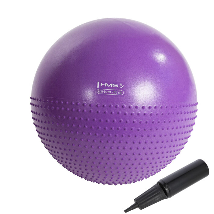 bilde 1 - YB03N 55CM VIOLET GYM BALL HMS