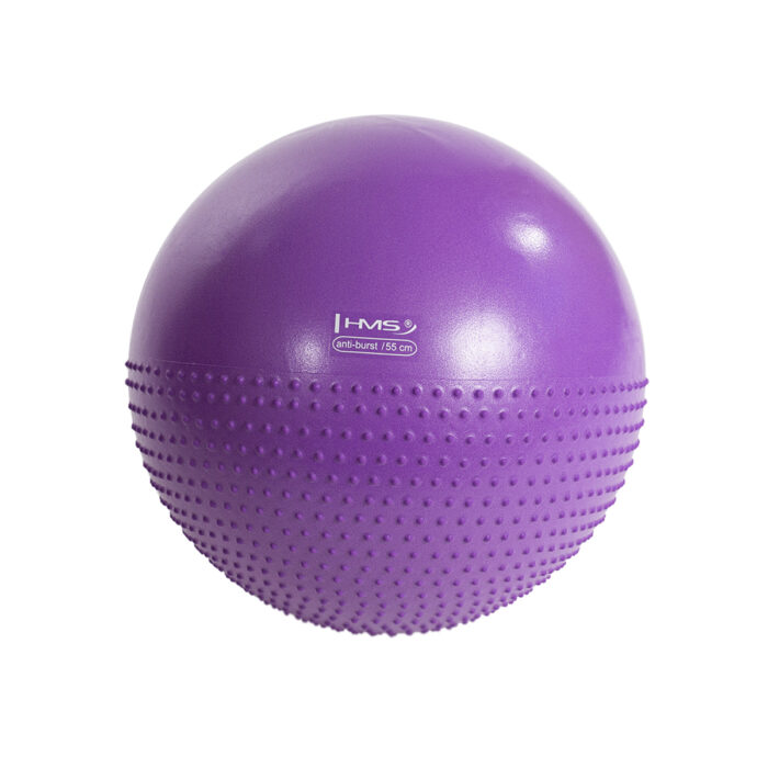bilde 2 - YB03N 55CM VIOLET GYM BALL HMS