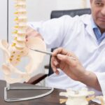 MENNESKE SKJELETT OG RYGGRAD ANATOMISK MODELL MED BEKKEN 3D-ANATOMI 1-1